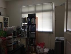 Palm Lodge (D14), Apartment #106113122